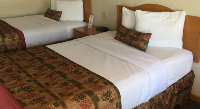 Четырёхместный номер Standard Adirondack Retreat Inn & Suites