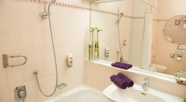 Двухместный номер Standard с видом на парк PARKHOTEL - Rosarium