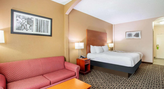 Deluxe Kahden hengen huone La Quinta Inn Decatur