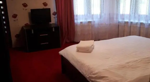 Двухместный номер Standard с балконом Pensiunea Casa David