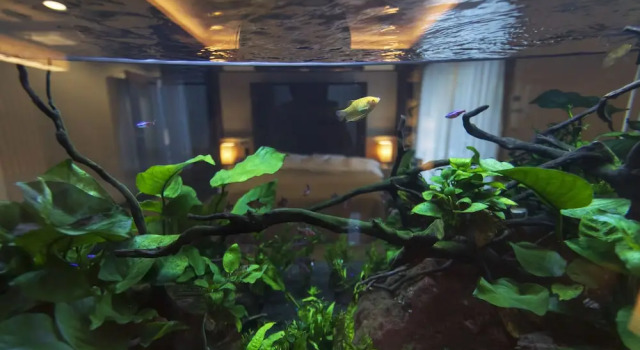 Номер Standard с балконом Hotel Gendairakuen Isehara