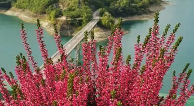 La terrazza sul lago, Rezervovat Hotel Castel di Tora 