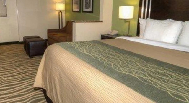 Люкс c 1 комнатой Comfort Inn near Downtown & Blue Ridge PKWY