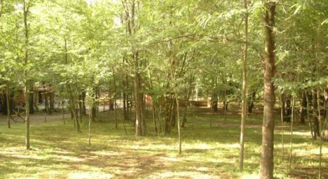 Bosque Encantado Cabañas, Rezerwuj Hotel Villa Icho Cruz 