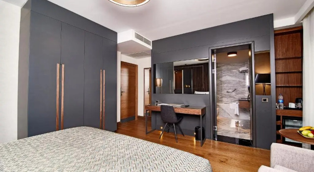 Двухместный номер Deluxe Levni Plus Hotel