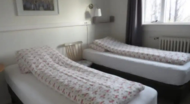 Трёхместный номер Standard Guesthouse Kálfafellsstadur