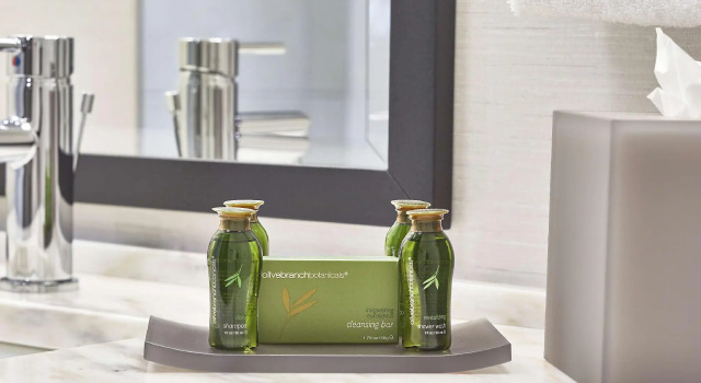 Четырёхместный номер Standard The Hamilton Alpharetta, Curio Collection By Hilton