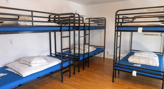 Cama en dormitorio compartido Treehouse Hostel