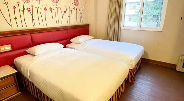 Двухместный номер Standard Spring Art Hotel