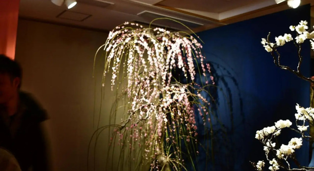 Cozy house 6, free E- bike & free portable wifi, Book Hotel Kyoto Japan