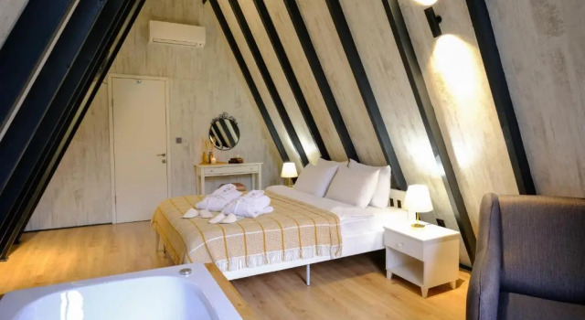 Двухместный номер Standard World DREAMS Sapanca