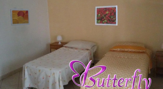 Butterfly Rooms
