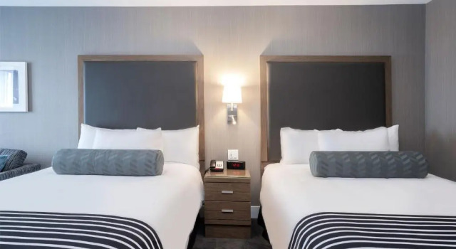 Четырёхместный номер Standard Sandman Signature St. Johns Hotel