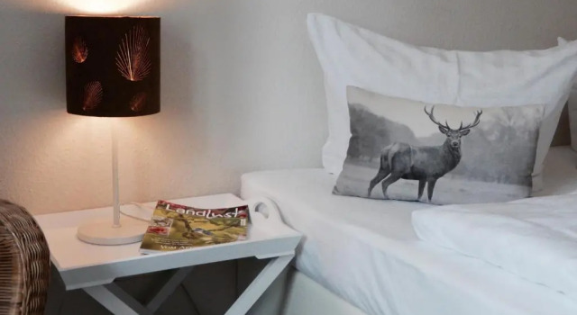 Двухместный номер Standard Landfein Big Country House