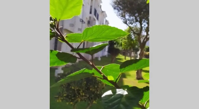 Acogedor Apartamento A 100 M. De Pinares Y Playa