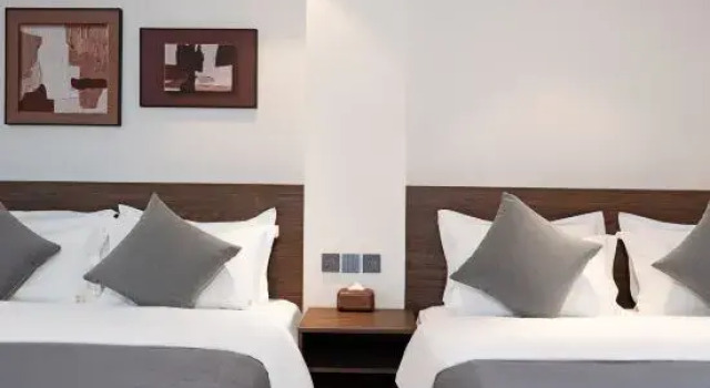 Люкс Silver Moon Mountain View .Song-style Aesthetic Homestay
