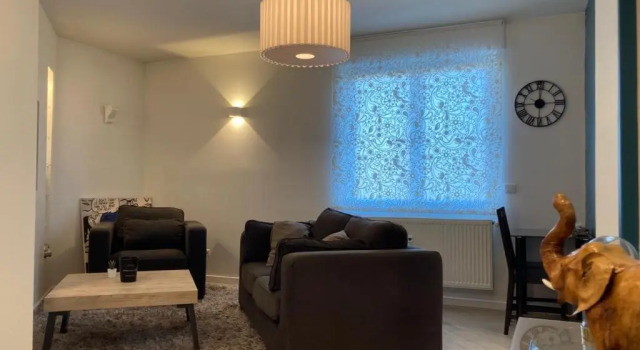 Апартаменты c 1 комнатой Appartement 2P Strasbourg centre - Homme de fer