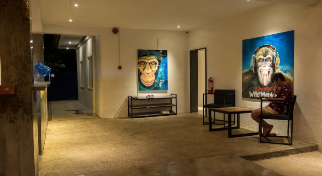 Wild Monkeys Hostel, Réserver Auberge de jeunesse Moalboal Cebu