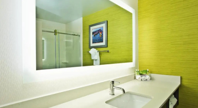 Номер Standard Holiday Inn Express Hotel & Suites Ann Arbor West by IHG