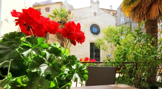 Апартаменты Guest House Franko