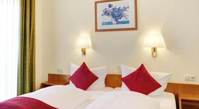 Двухместный номер Standard Hotel Fidelitas