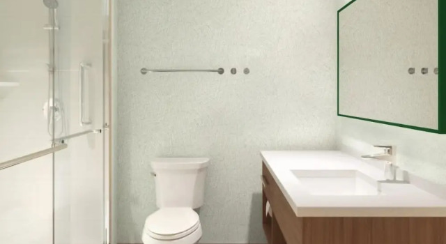 Люкс c 1 комнатой Home2 Suites By Hilton Austin South