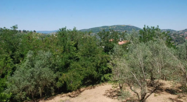 Superior Apartment Agli Ippocastani
