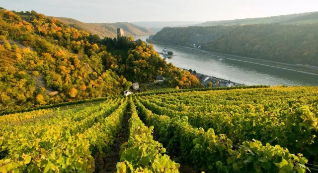 Kirchhausen, Buchen Sie Hotel Oberwesel Mittelrhein