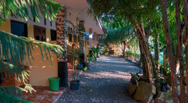 Номер Economy Brown Bamboo Guest house & jungle trekking orang-utan