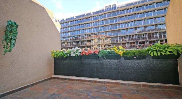 Apartamento Perlamar 3