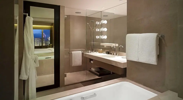 Двухместный номер Club Access Deluxe с видом на гавань Grand Hyatt Hong Kong