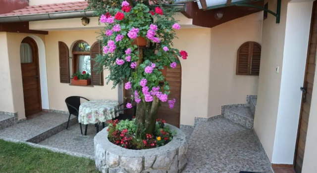 Студия Apartments Komel