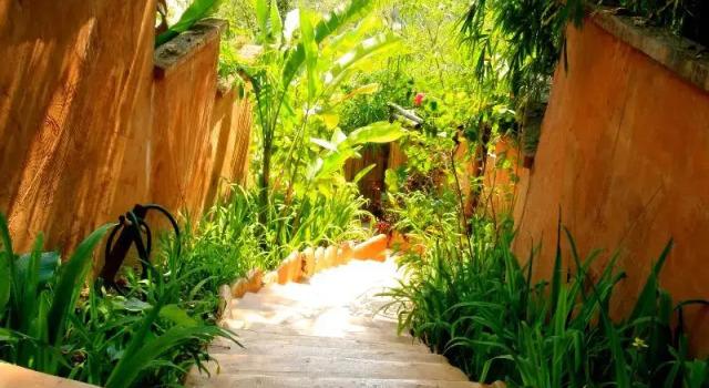 Номер Standard Phu Chaisai Mountain Resort Chiang Rai