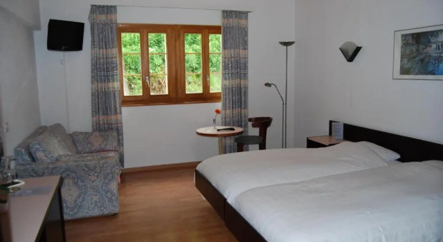 Двухместный номер Standard Hotel du Pigne