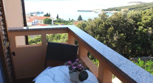 Студия Apartmani Zorica
