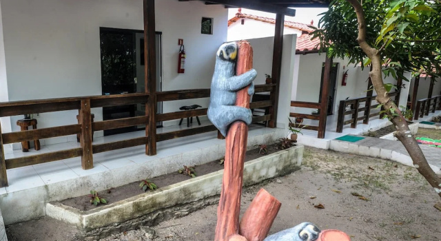 Четырёхместный номер Standard Pousada Amazônia