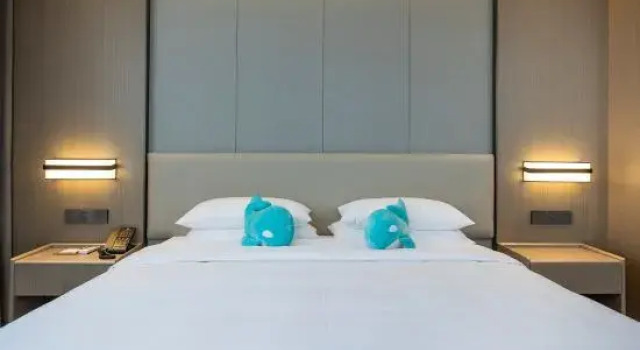 Люкс Deluxe Excemon Ruijia Hotel