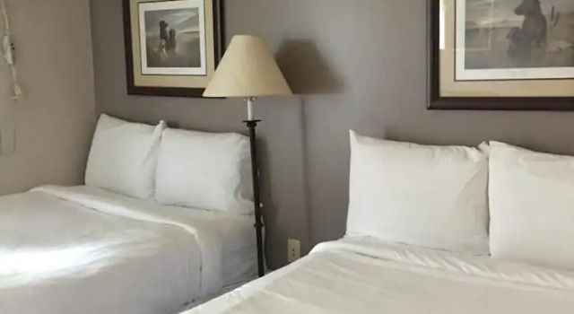Четырёхместный люкс Standard All Suites Inn Budget Host