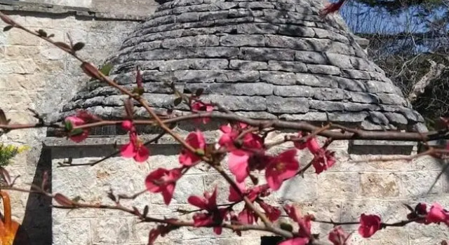 Residenza Fenicia
