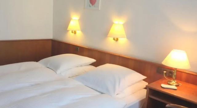 Двухместный номер Standard Hotel Bismarck