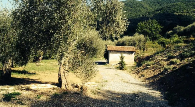 Casa vacanze gli ulivi, Prenota Hotel Hotel a Borgomaro con colazione, Colazione