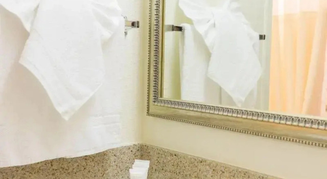 Одноместный номер Deluxe Oakland Airport Executive Hotel