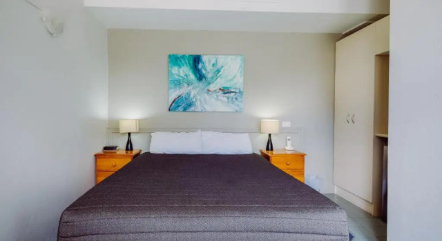 Двухместный номер Economy Artesian Spa Motel