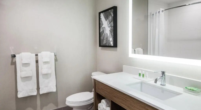 Четырёхместный номер Deluxe Holiday Inn Hotel & Suites Calgary South - Conference Ctr by IHG