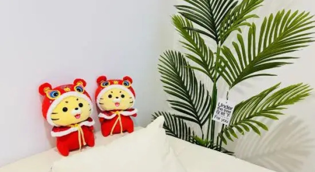 Люкс Chongqing Xing Xiaokanshan Homestay