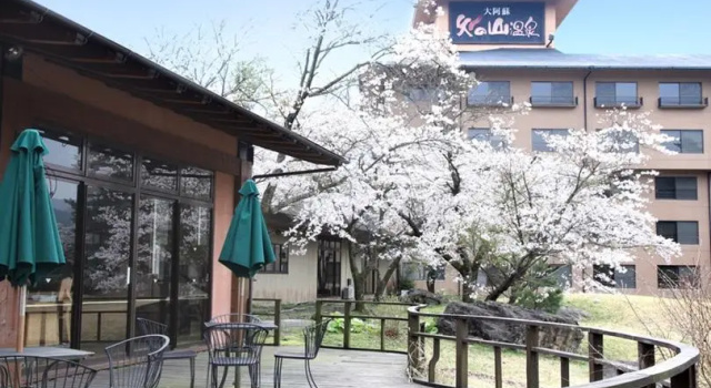 Кровать в общем номере Aso Baien Spa Resort