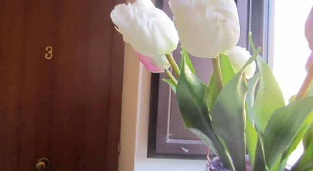Трёхместный номер Standard Bed & Breakfast Hostel H24