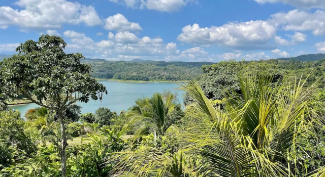 The Fruit Tree Garden Bromeliad Suite, Rezerwuj Dom wakacyjny Wille w Guanacaste, Willa