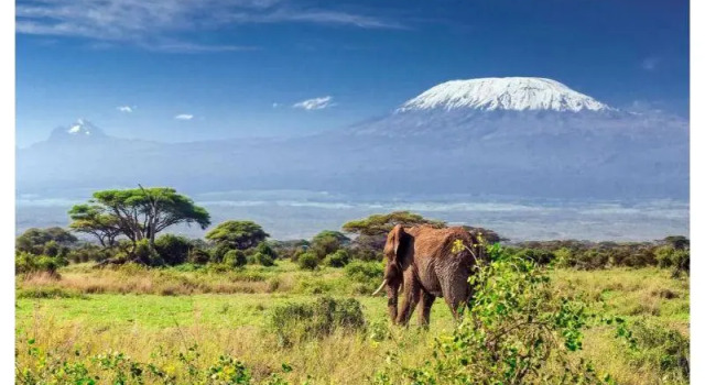 Little Amanya Camp, Prenota Hotel Amboseli Kajiado