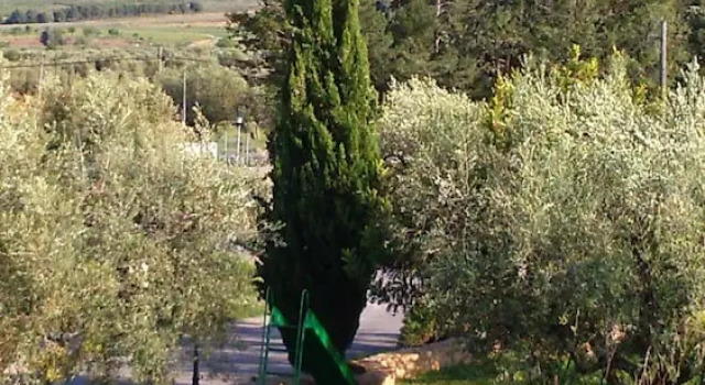 Четырёхместный номер Standard Hotel Rural Familiar Almirez-Alpujarra